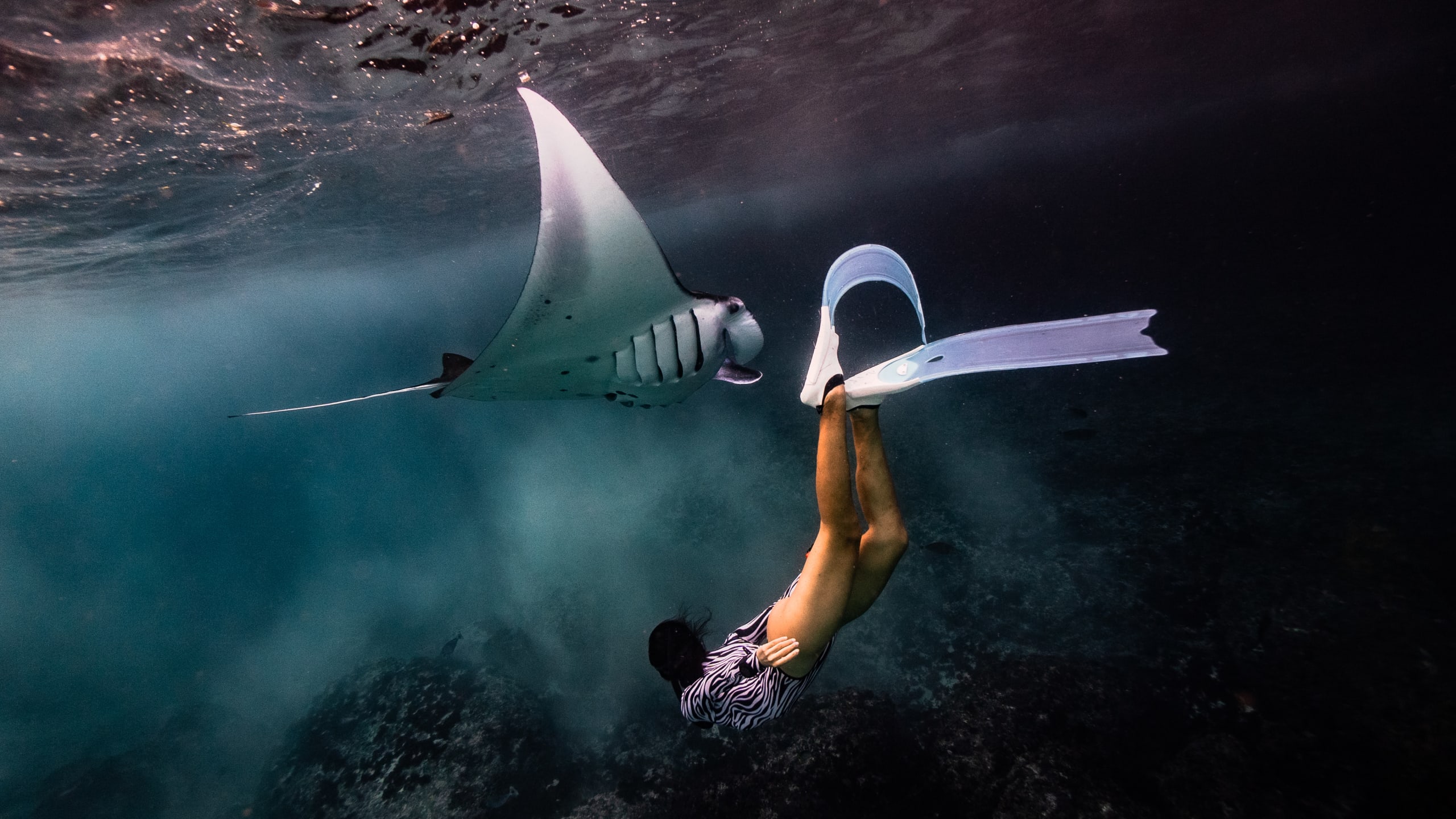 Nusa Penida Freediving